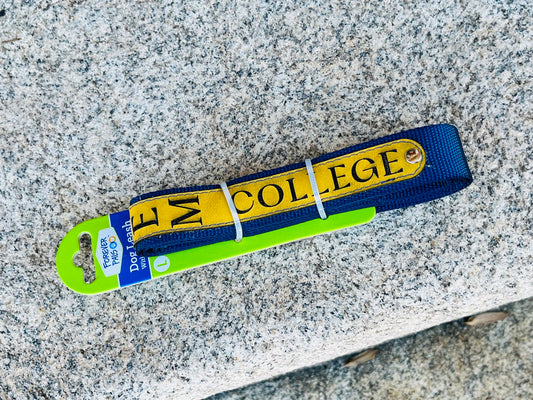 Dog Leash