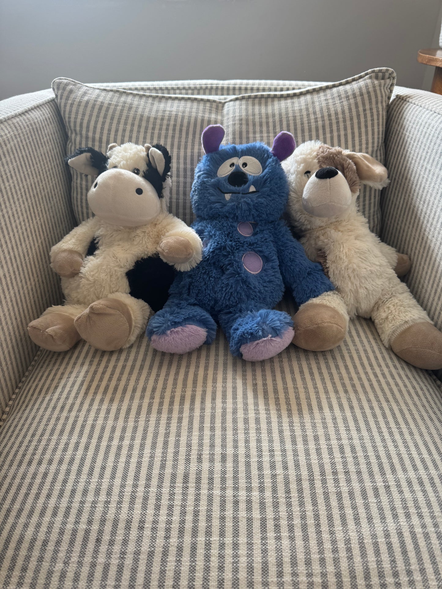 Plush Animals-Warmies