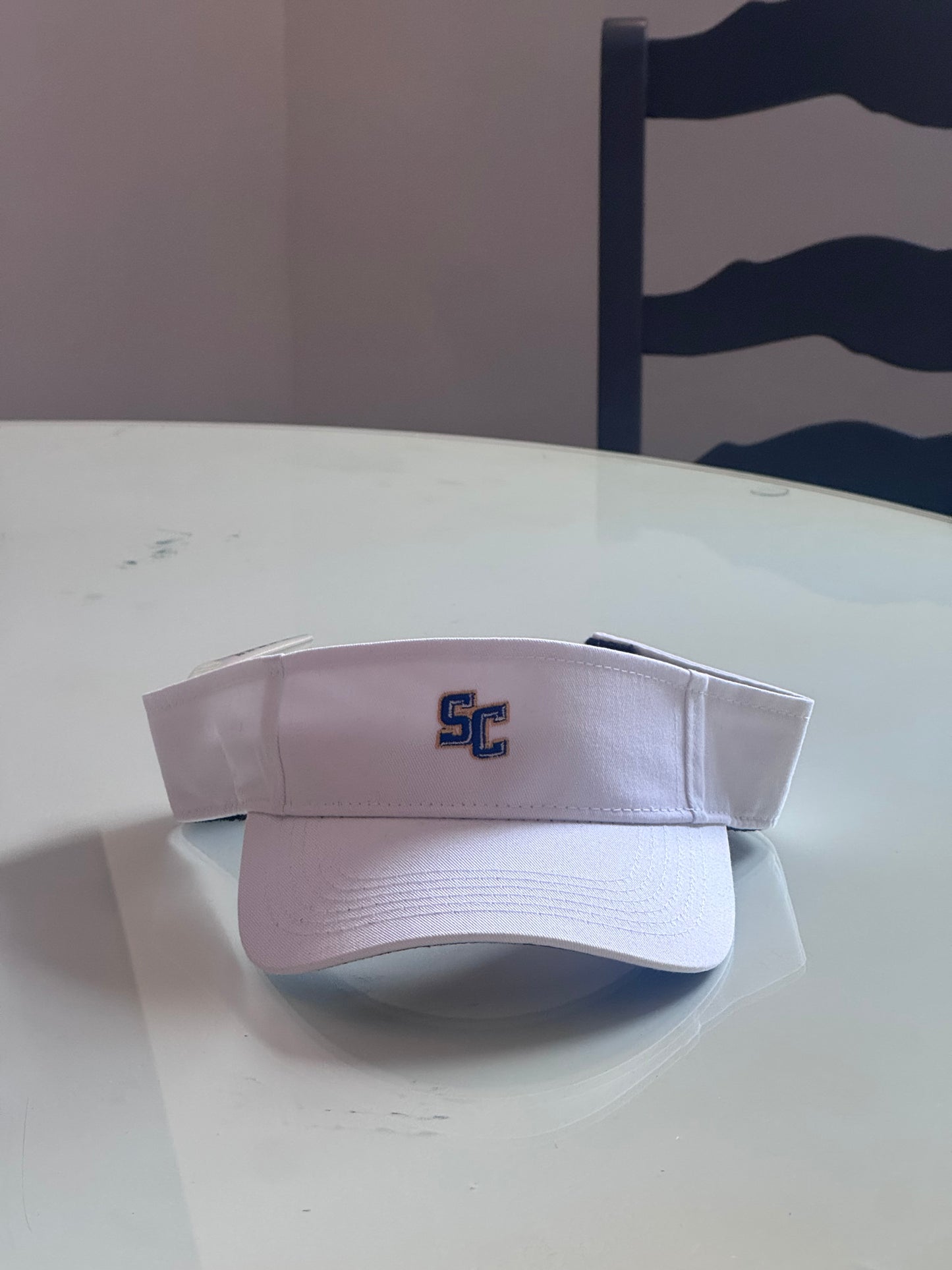 Visor