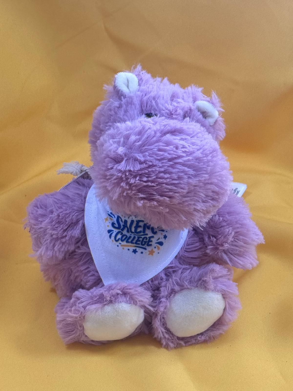 Plush Animals-Warmie (mini) College