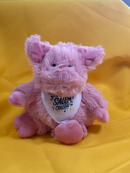 Plush Animals-Warmie (mini) College