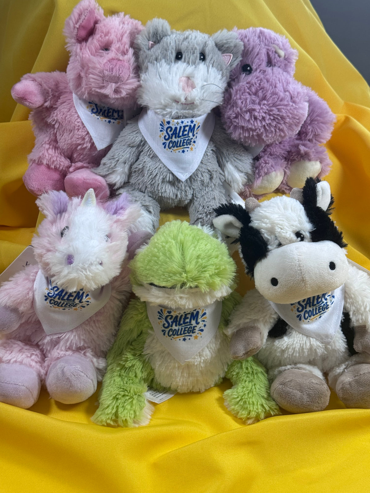 Plush Animals-Warmie (mini) College