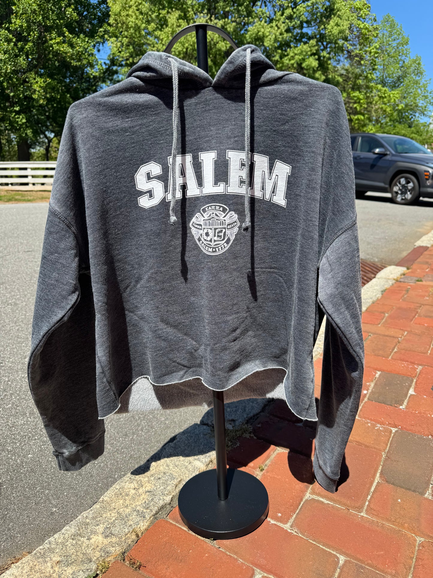 Hoodie: Cropped Seal
