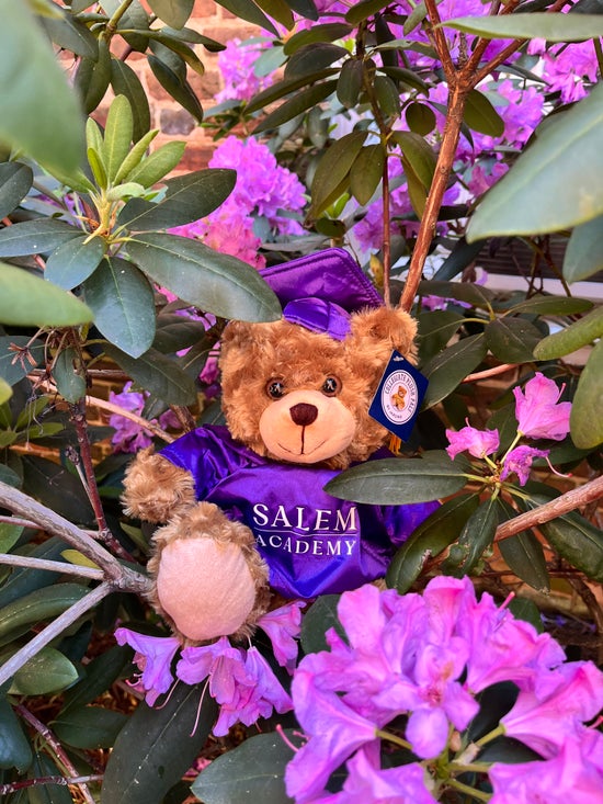 Plush Animals-Graduation Bear